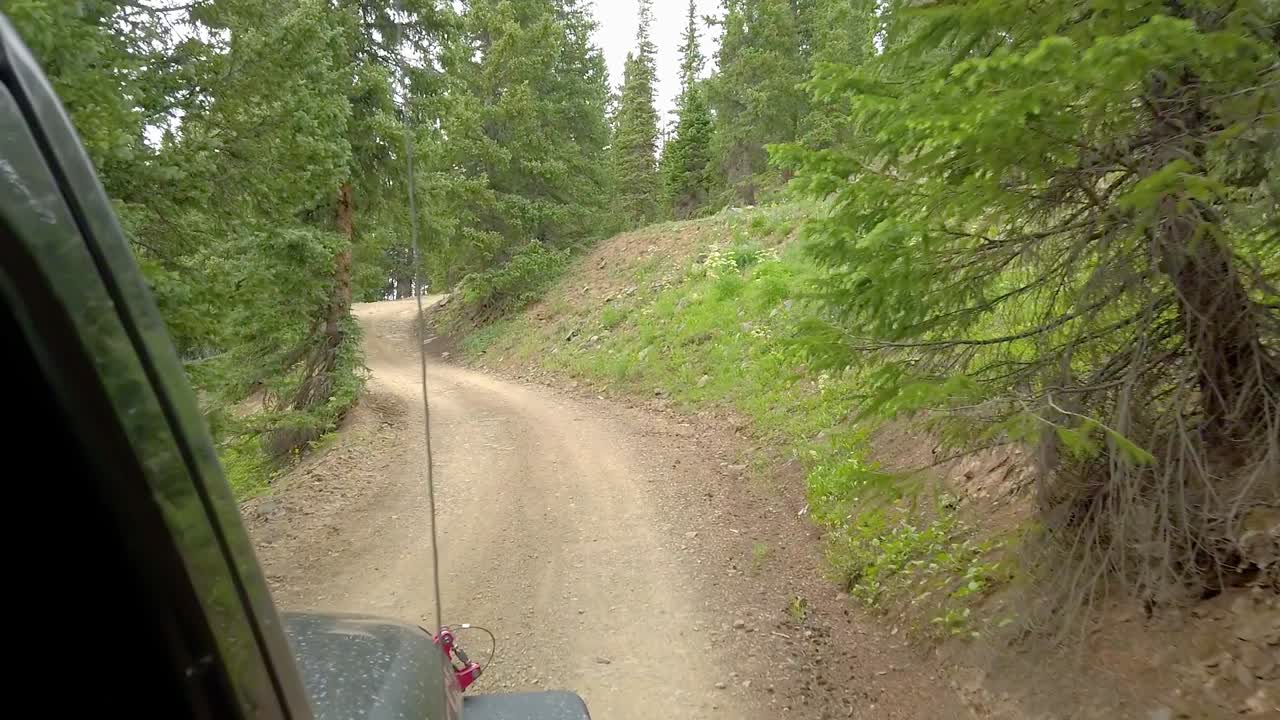 우레이 콜로라도 근처의 산 후안 산맥을 통과하는 엔지니어 산길의 나무가 우거진 부분에서 오프로드 차량을 운전하는 동안 pov