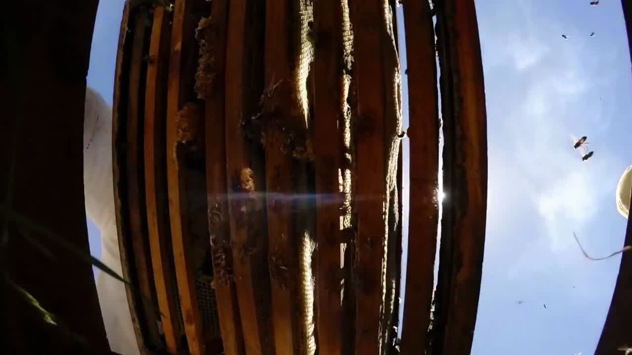 들판 에서 벌집 을 키우고 있는 양봉자