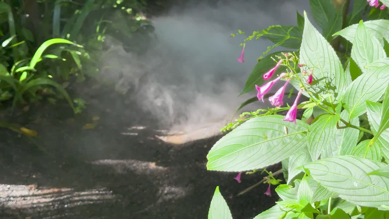 Gentle mist drifts through lush foliage and blooming flowers in a tranquil forest setting