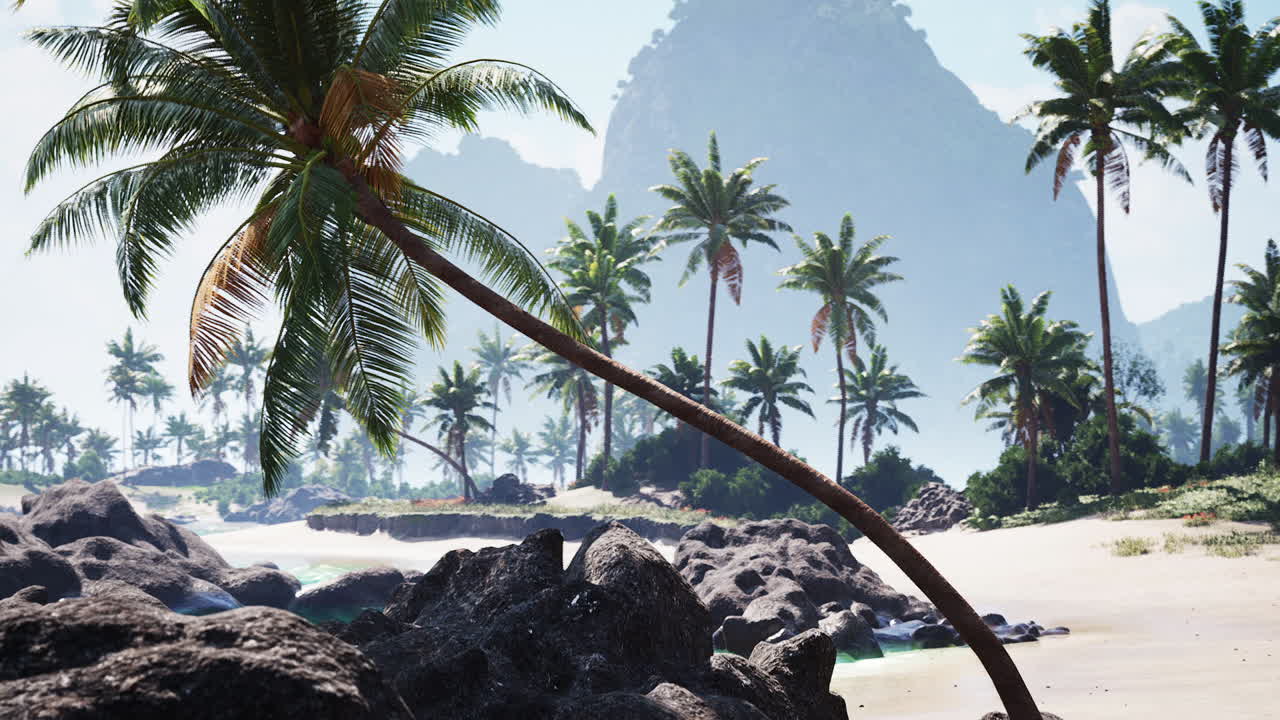 종려나무 와 은 파란 물 이 있는 열대 해변