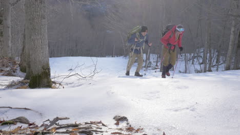 two men hiking up a steep snowy incline in the woods in winter with trekking poles