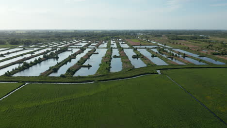 Swamps-And-Fields-In-Weerribben-Wieden-National-Park-In-Overijssel,-Friesland,-Netherlands