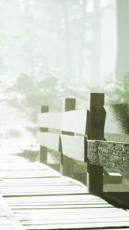 misty forest wooden bridge