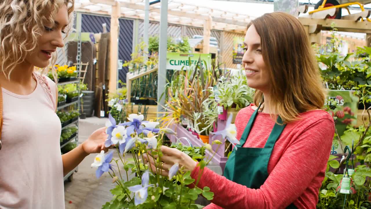 florista interactuando con un cliente