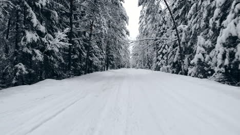 Draufsicht-Auf-Den-Winterwald.-Luftaufnahme.