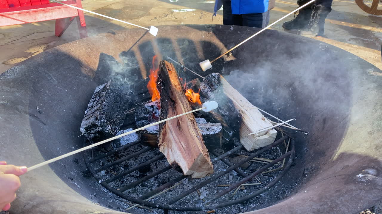 캠프파이어에서 마시멜로를 굽는 네 사람