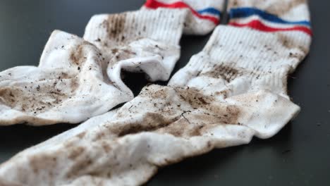 a close-up of a pair of dirty white socks with red and blue stripes