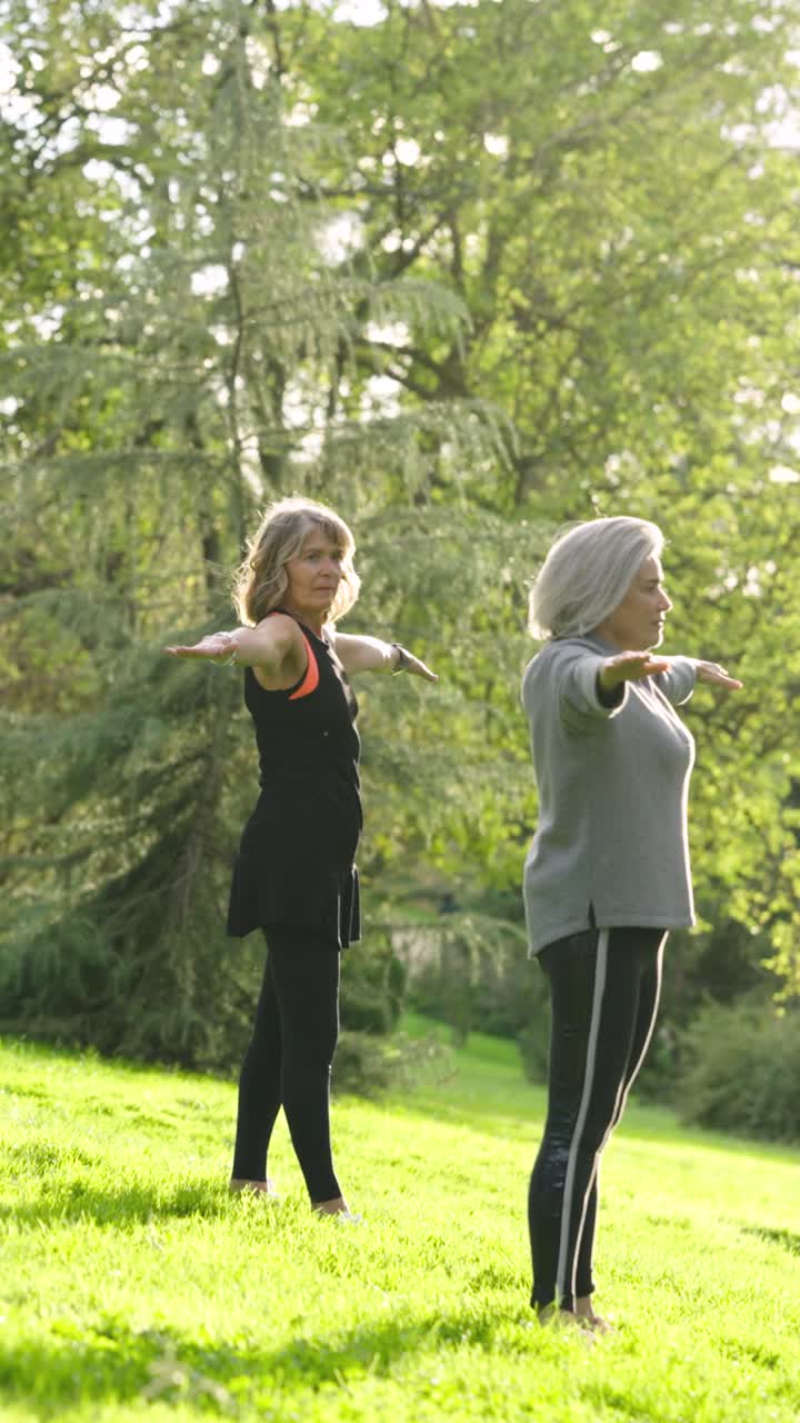 mujeres practicando yoga en un parque