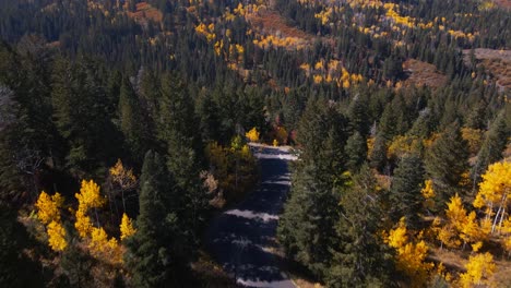 Drone-flying-over-empty-road-surrounded-by-lush-forest