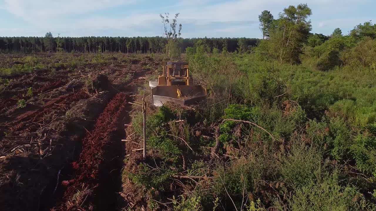 tomada aérea de aviones no tripulados de máquinas de preparación de suelo que convierten la tierra forestal en tierra agrícola de posadas en misiones argentina