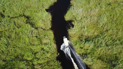 aerial tracking shot of a motor boat as going through a beautiful vividly green swamp