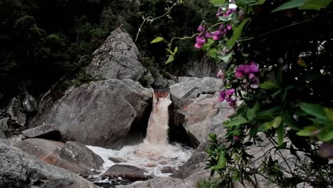 Hermosa-Cascada-Que-Fluye-Sobre-Grandes-Rocas-Con-Flores-En-Primer-Plano