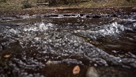 rapids of river flowing by rocks during fall season