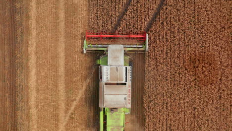 white combine with red mowing mechanism cuts the harvest of ripe wheat. bird's eye view on the machine working in the field.
