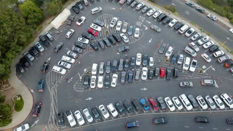 aerial view above the parking lot to the griffith observatory, full of cars in los angeles - top down, drone shot