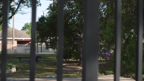 Establishing-shot-of-Jack-Johnson-Park-and-statue-in-Galveston,-Texas