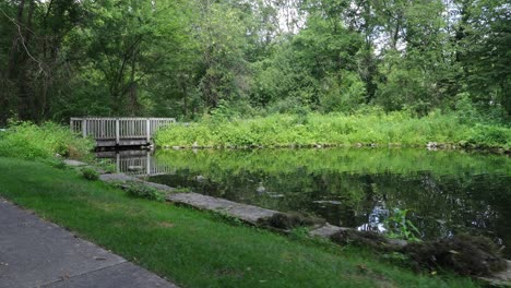 Tener-Un-Paseo-Por-La-Naturaleza-A-Lo-Largo-Del-Estanque-Koi-Rodeado-De-Vegetación-Exuberante-Y-Densa-En-Paul-E