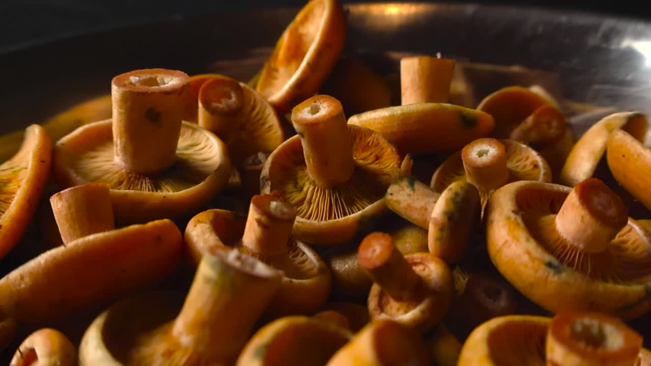 Close up view gliding over freshly picked orange milkcap mushrooms that are in a pile on top of each other in a bowl in front of a black studio background lighted by spotlight light. Stems visible