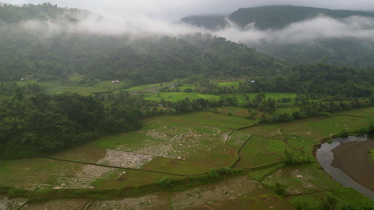 exuberante bosque tropical de montaña y campos verdes en catanduanes, filipinas