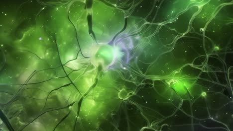 neural network visualization
