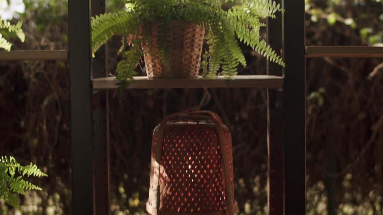 꽃  ⁇ 비 정원 장식 보호