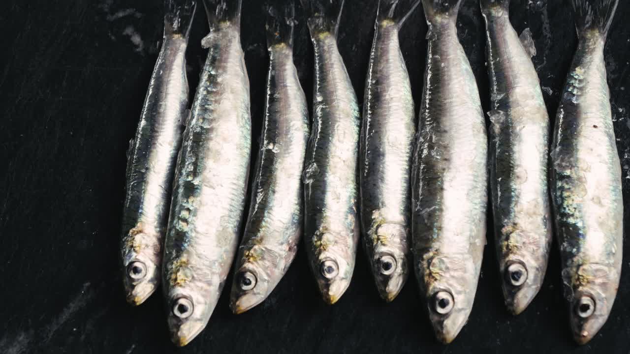 Hand selecting fresh sardines