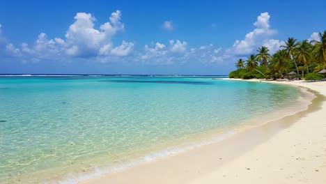 a serene tropical paradise with crystal clear waters and lush palm trees under a brilliant blue sky - relaxation and natural beauty unite in this idyllic coastal haven