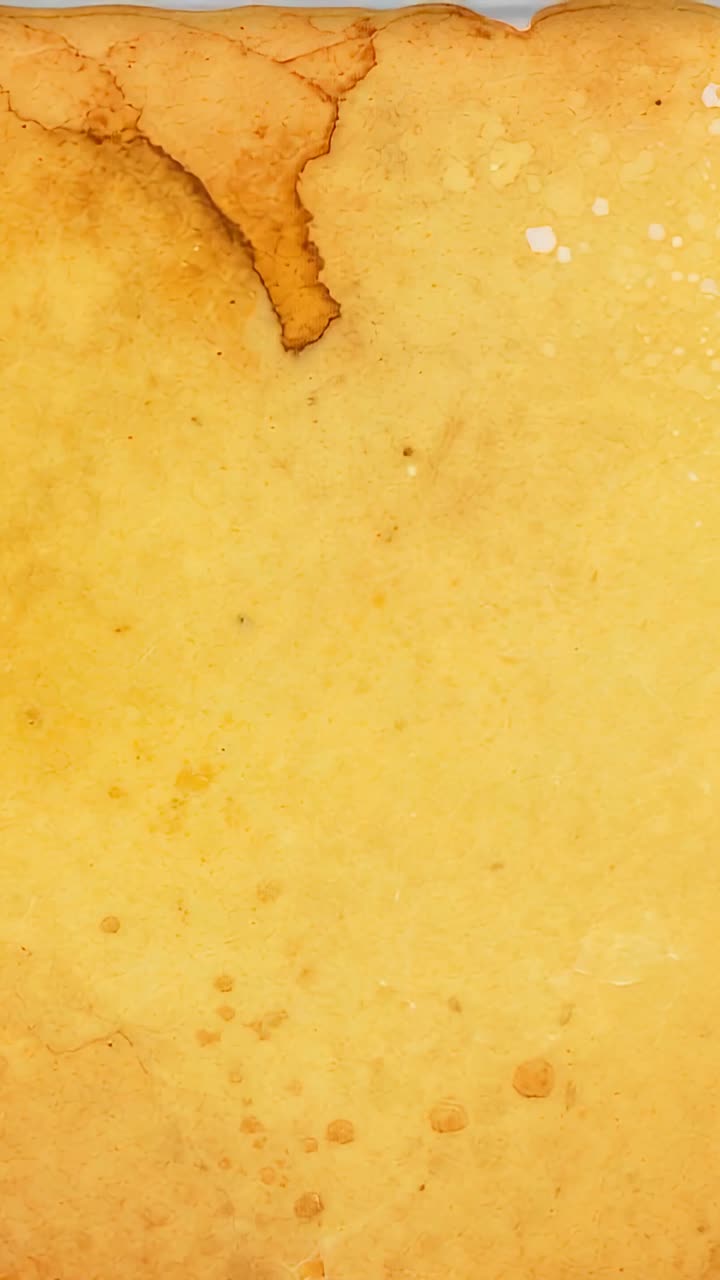 Vertical video: Sliding camera revealing centered aged paper on table, showing brown stain details