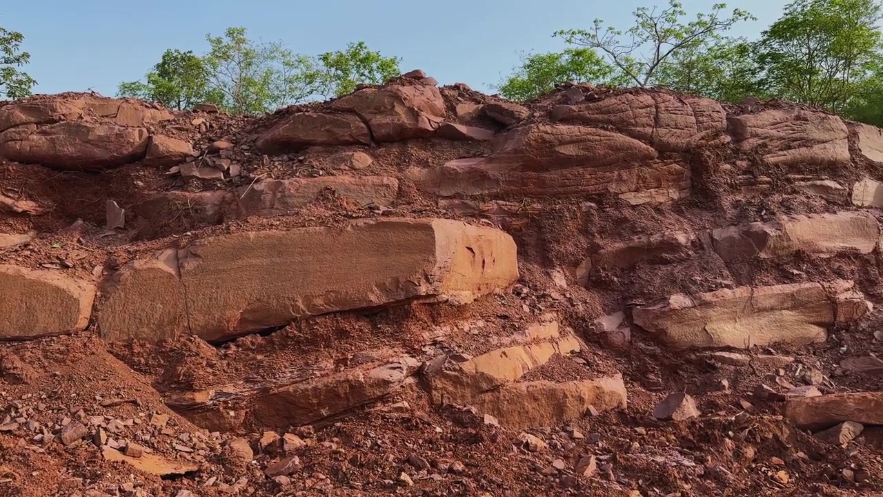 Panoramica che mostra orizzonti del suolo esposti e formazioni rocciose erose lungo un pendio boscoso. Gli strati geologici rivelati illustrano la struttura naturale della terra, il modello di erosione e la composizione del sottosuolo