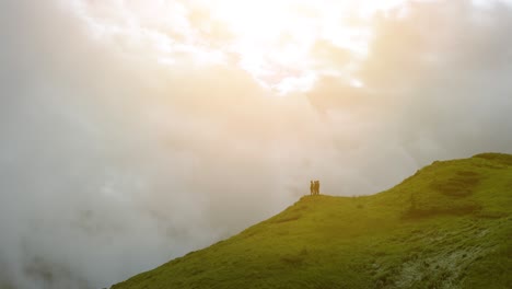 the four people standing on a mountain with a picturesque cloud view