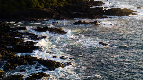 Drone-video-at-sunset-in-Ucluelet-British-Columbia,-Canada-over-the-ocean-and-forest