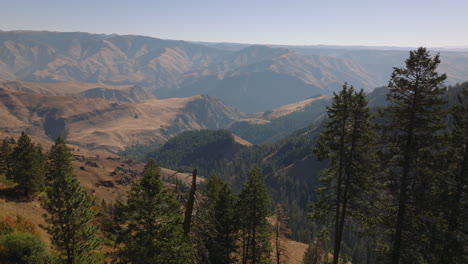 Luftaufnahme-Der-Hells-Canyon-Gorge-Mit-Kiefern-Im-Vordergrund