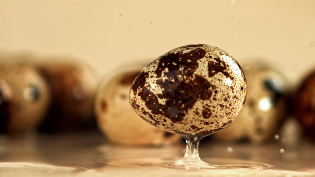 Quail Egg Falling and Splashing on a Wet Surface in Slow Motion