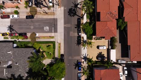 top down aerial view above street in beautiful beach town with palm trees, usa