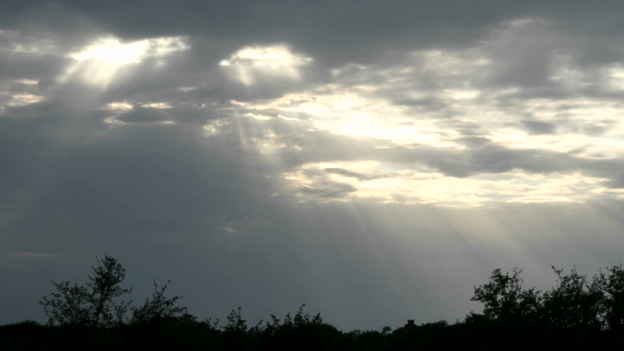 Lens flares and sun halations appear over trees in silhouette on the horizon as a bright gold sun disappears behind dark clouds