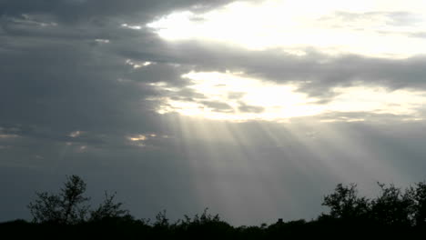 Lens-Flares-Und-Lichthöfe-Erscheinen-über-Bäumen-In-Silhouette-Am-Horizont,-Während-Eine-Helle-Goldene-Sonne-Hinter-Dunklen-Wolken-Verschwindet-Disappear