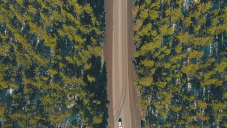 long-brown-country-roadway-running-through-beautiful-forest