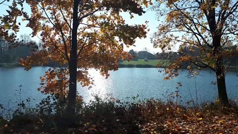 Die-Spiegelung-Der-Sonne-Im-Fluss-Und-Herbstlaub-Fallen