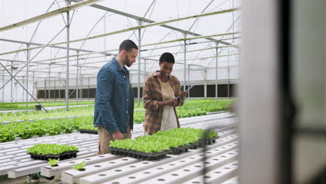 granja hidropónica, plantas y agricultores con lista de comprobación