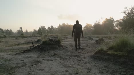 person walking through a foggy forest at sunrise