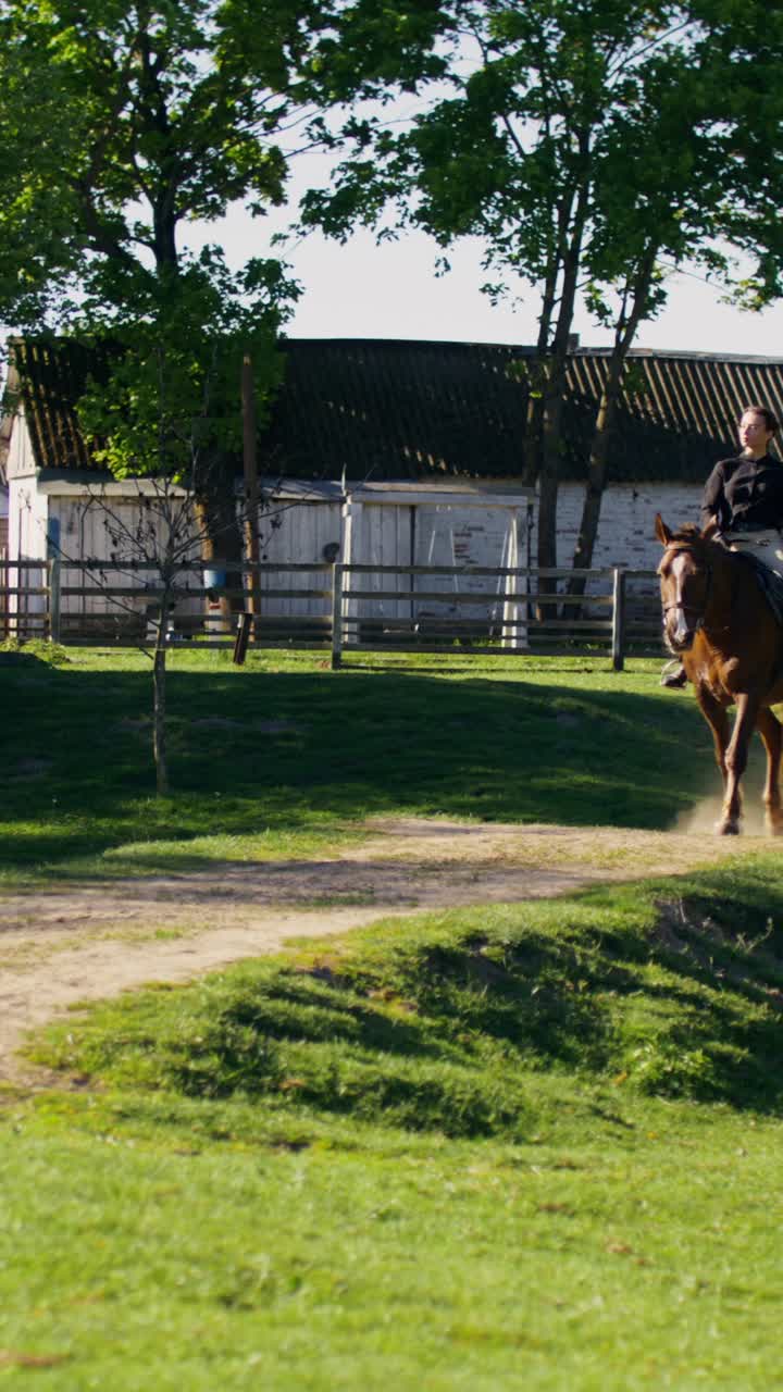 Rural Farm Scene with Horses and Donkeys
