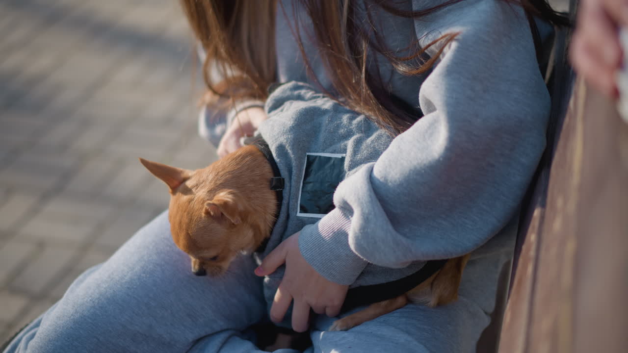 벤치 장면에서 작은 강아지가 패딩 처리된 백팩 캐리어에서 빼꼼히 쳐다보고 있어요. 주인은 지퍼와 스트랩을 조절하고, 아늑한 파우치는 통근 시간 동안 강아지를 따뜻하게 해줍니다. 도시의 포장 도로와 부드러운 오후 햇살이 이동하는 순간을 담아내고 있습니다.