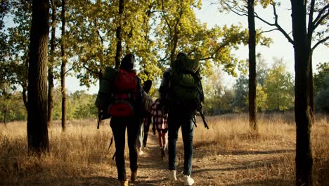 Rückansicht-Einer-Gruppe-Von-Menschen-Mit-ähnlichen-Rucksäcken,-Die-Im-Sommer-Die-Erlösungsstraße-Und-Das-Verdorrte-Gras-Im-Wald-Entlanglaufen.-Wandern-Als-Aktive-Freizeitbeschäftigung