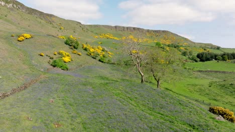 Sallagh-Brae&#39;s-En-La-Carretera-De-La-Costa-De-Antrim-En-Irlanda-Del-Norte