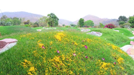 peaceful cemetery adorned with colorful flowers