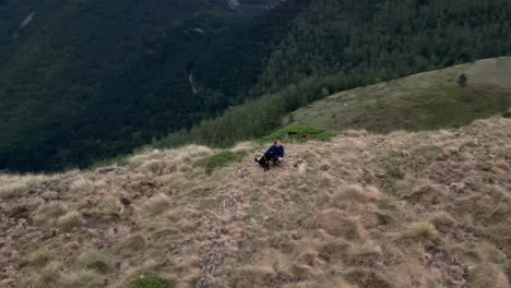 Drone-shot-of-a-woman-taking-a-break-from-hiking-with-her-dog-while-cows-eat-on-a-field-in-the-background