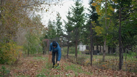 youngster in blue jacket and beanie bends down to pick yellow leaf from ground, placing it into paper bag amidst vibrant outdoor greenery and fallen autumn leaves, next to a rustic fence