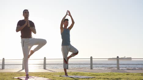 Happy-diverse-gay-male-couple-doing-yoga-and-meditating-at-promenade-by-the-sea,-slow-motion