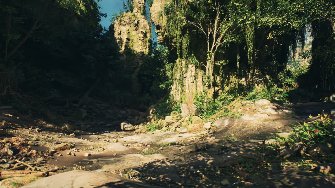 아름다운 열대 정글