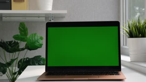 close up laptop green screen. chroma key green screen computer set up for work on desk at home, technology concept 4k video template. selective focus